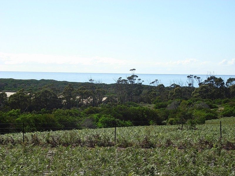 Lot 12 Tasman Highway, Dianas Basin TAS 7215