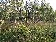 Lot 2 Tasman Highway, St Helens TAS 7216