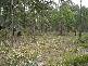 Lot 2 Tasman Highway, St Helens TAS 7216