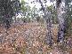 Lot 2 Gardens Road, Binalong Bay TAS 7216