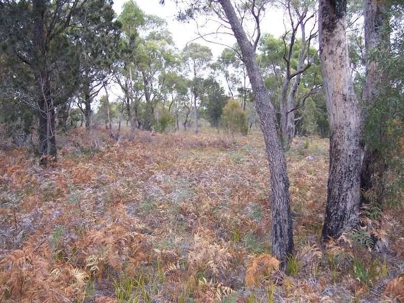 Lot 2 Gardens Road, Binalong Bay TAS 7216