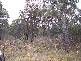 Lot 2 Gardens Road, Binalong Bay TAS 7216