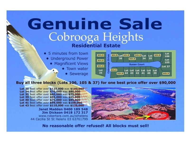 . . Susan Court, St Helens TAS 7216