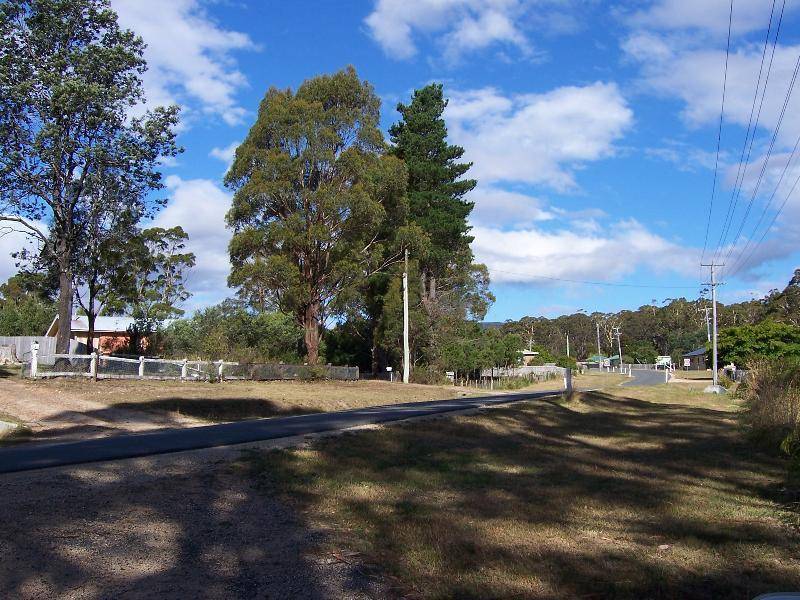 Lot 5 Gray Road, St Marys TAS 7215