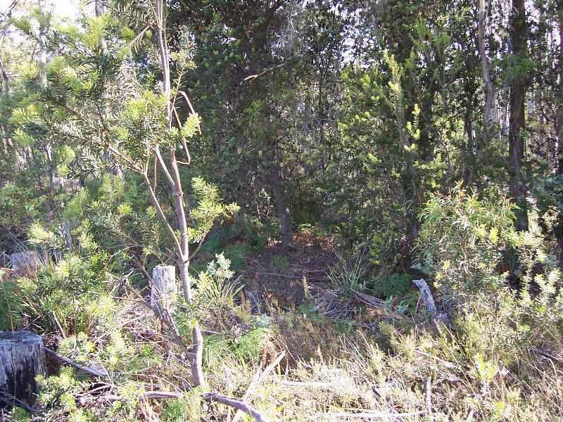 Lot 5 Gray Road, St Marys TAS 7215