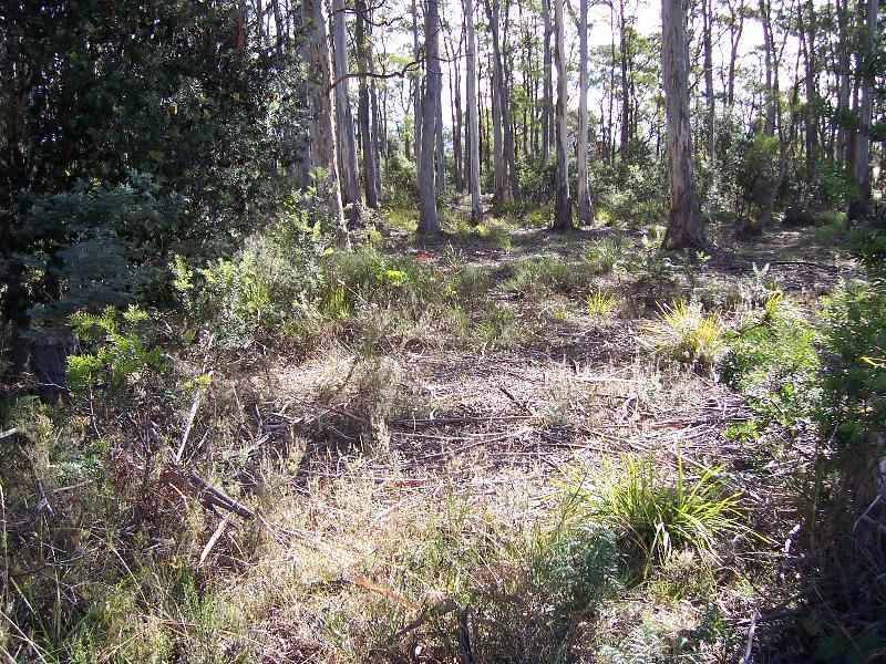 Lot 5 Gray Road, St Marys TAS 7215