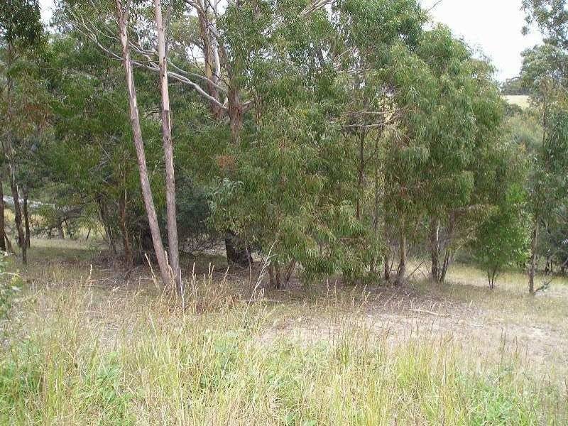 51 Erythos Grove, St Helens TAS 7216