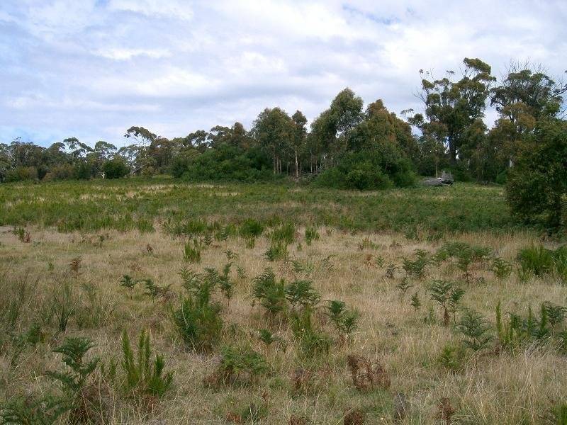 Lot 12 Tasman Highway, Dianas Basin TAS 7215