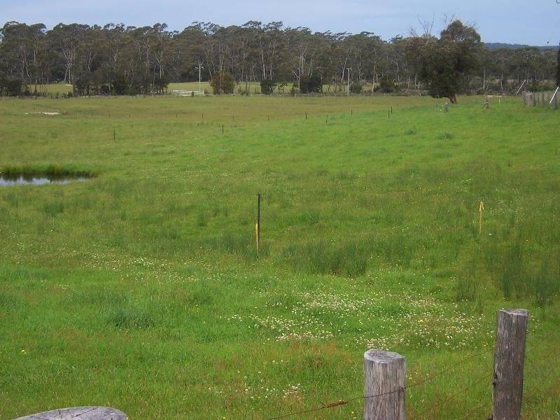 Lot 6 Priory Road, St Helens TAS 7216