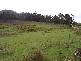 Lot 1 Lower Germantown Road, St Marys TAS 7215