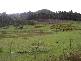 Lot 1 Lower Germantown Road, St Marys TAS 7215