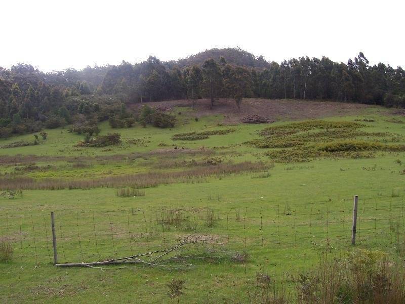 Lot 1 Lower Germantown Road, St Marys TAS 7215