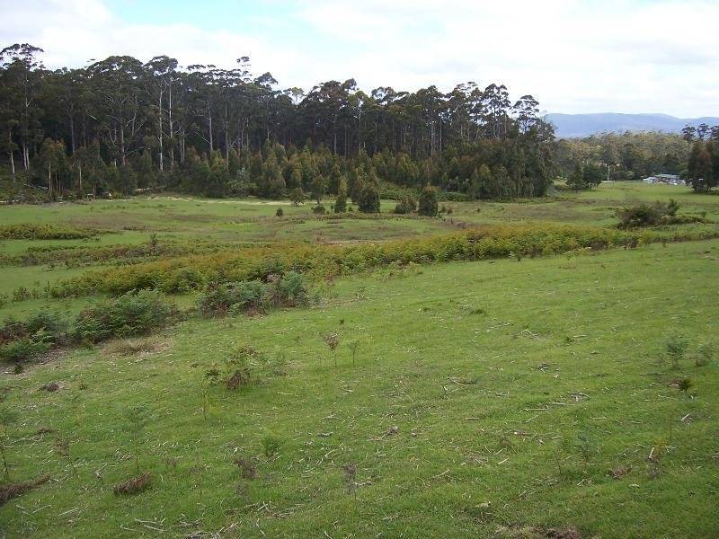 Lot 1 Lower Germantown Road, St Marys TAS 7215