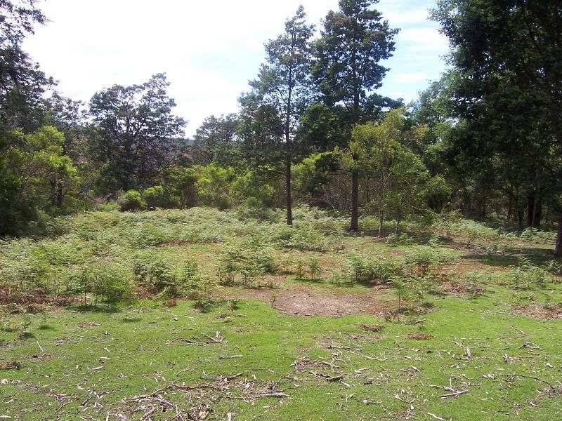 1 Elephant Pass Road, Gray TAS 7215