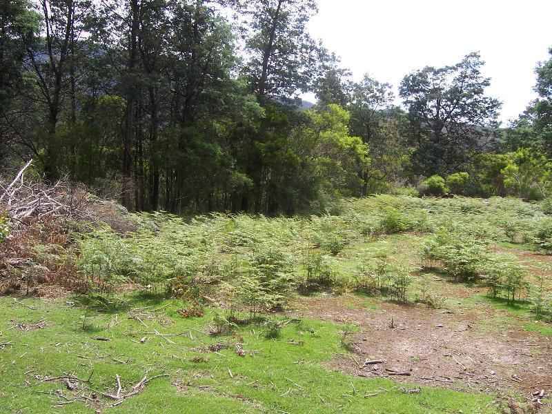 1 Elephant Pass Road, Gray TAS 7215