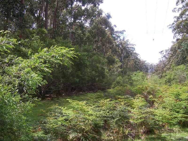 1 Elephant Pass Road, Gray TAS 7215