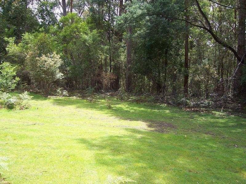1 Elephant Pass Road, Gray TAS 7215