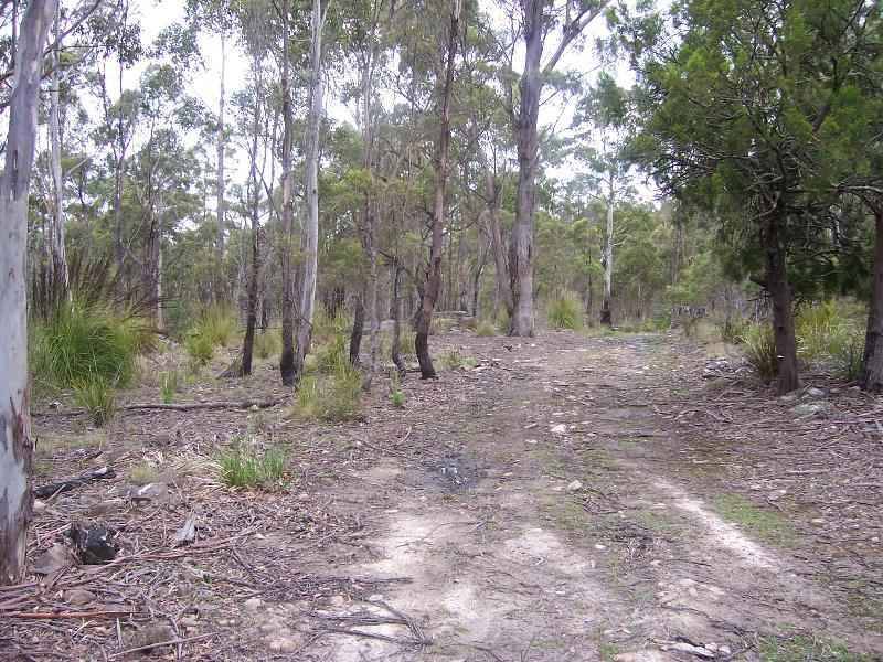Lot 4 Main Esk Road, St Marys TAS 7215