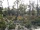 Lot 2 Tasman Highway, St Helens TAS 7216