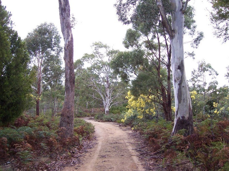 Lot 1 Tasman Highway, Scamander TAS 7215