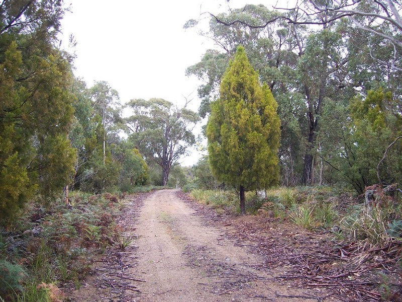 Lot 1 Tasman Highway, Scamander TAS 7215