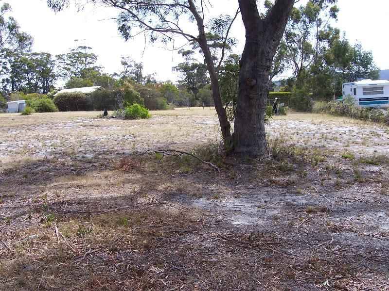 10 Barnett Close, Binalong Bay TAS 7216