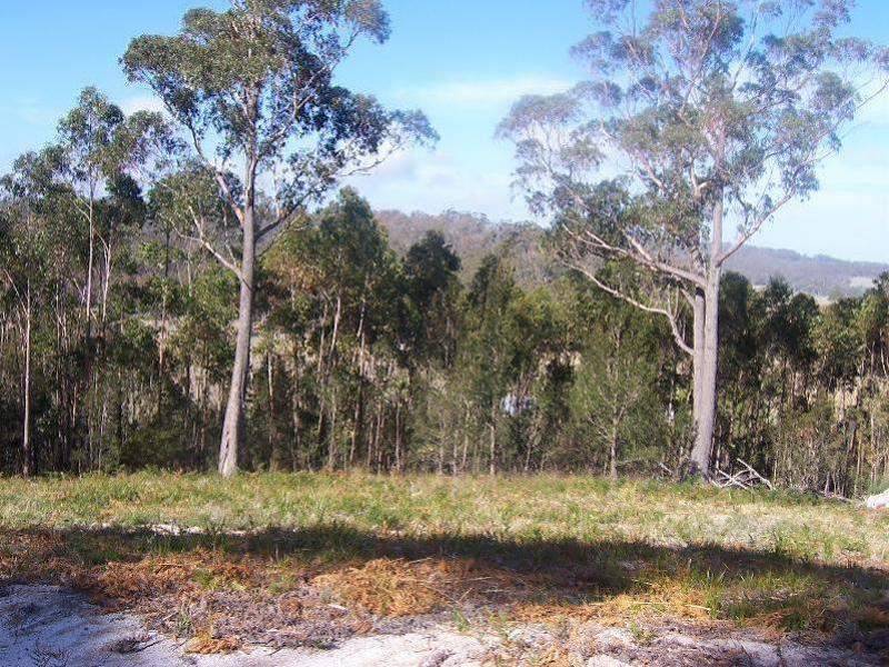 Lot 1 Ansons Bay Road, St Helens TAS 7216