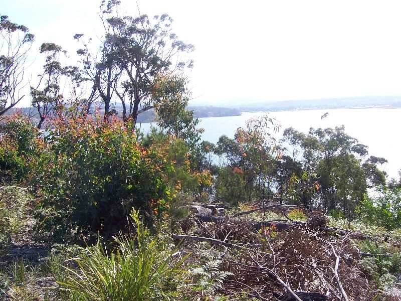 19A Aerodrome Road, Stieglitz TAS 7216