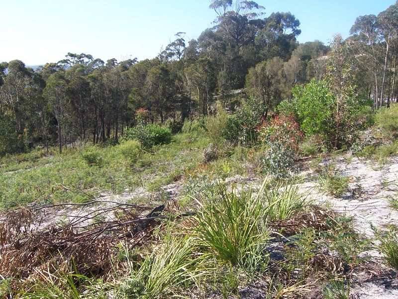 19A Aerodrome Road, Stieglitz TAS 7216