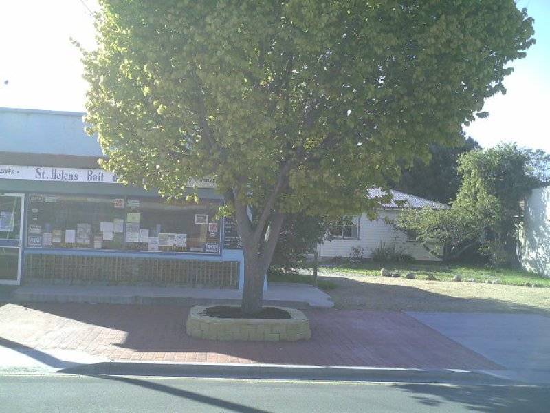 12 Cecilia Street, St Helens TAS 7216