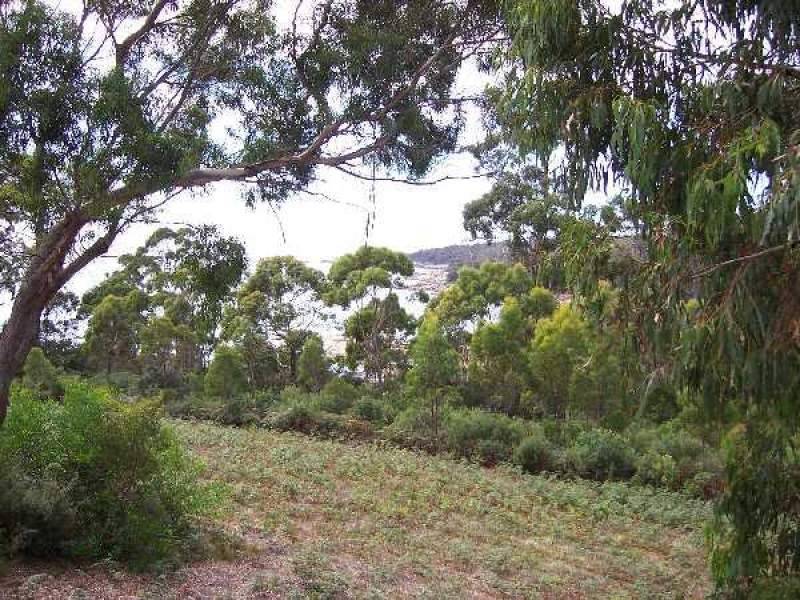52 Treloggen Drive, Binalong Bay TAS 7216