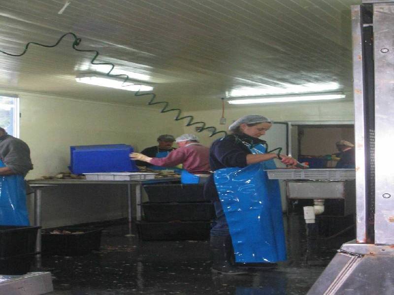 18 Medea Cove Esplanade, St Helens TAS 7216