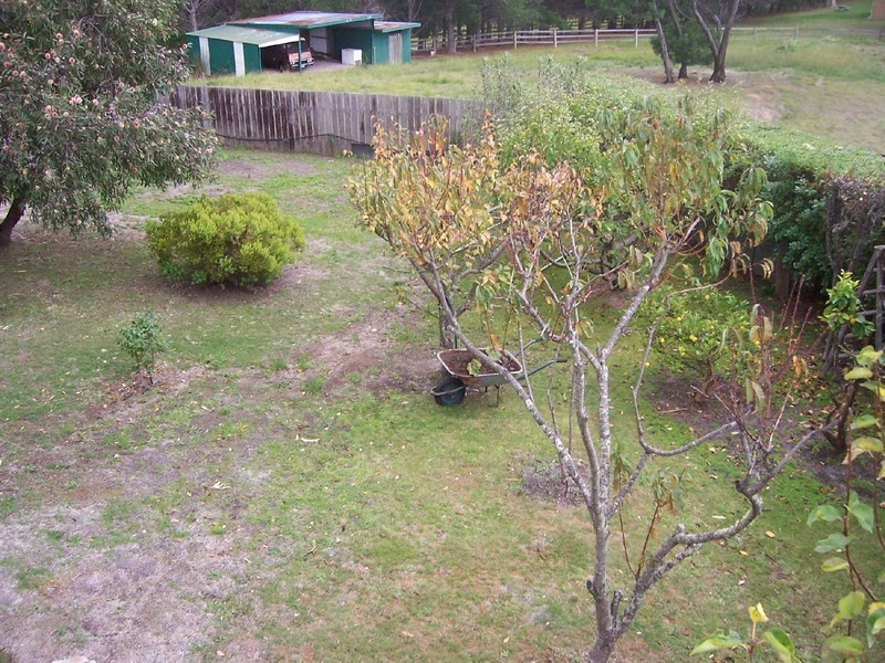 16 Idas Court, St Helens TAS 7216