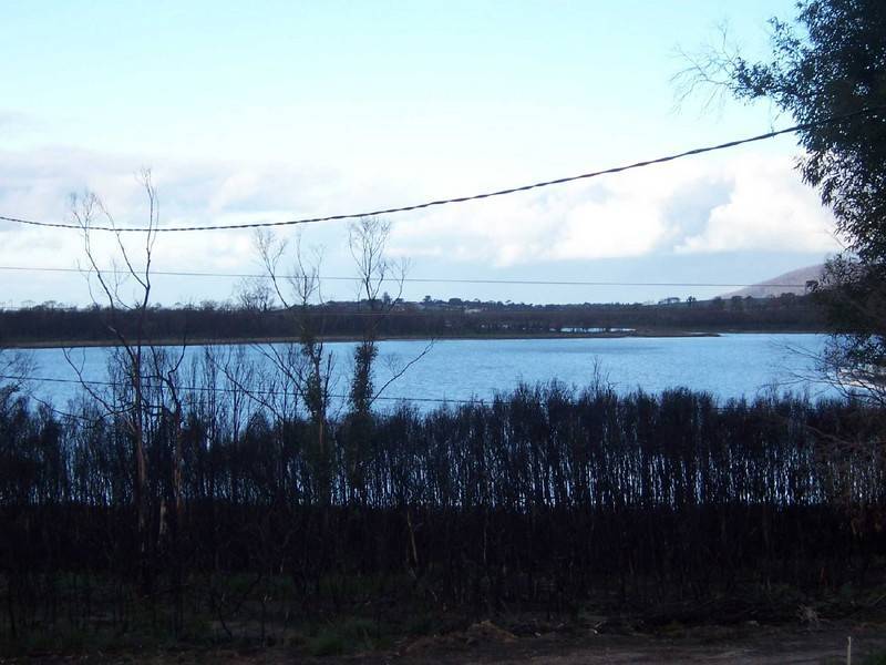 23245 Tasman Highway, Scamander TAS 7215