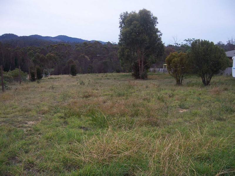 8 Cherrywood Drive, Scamander TAS 7215