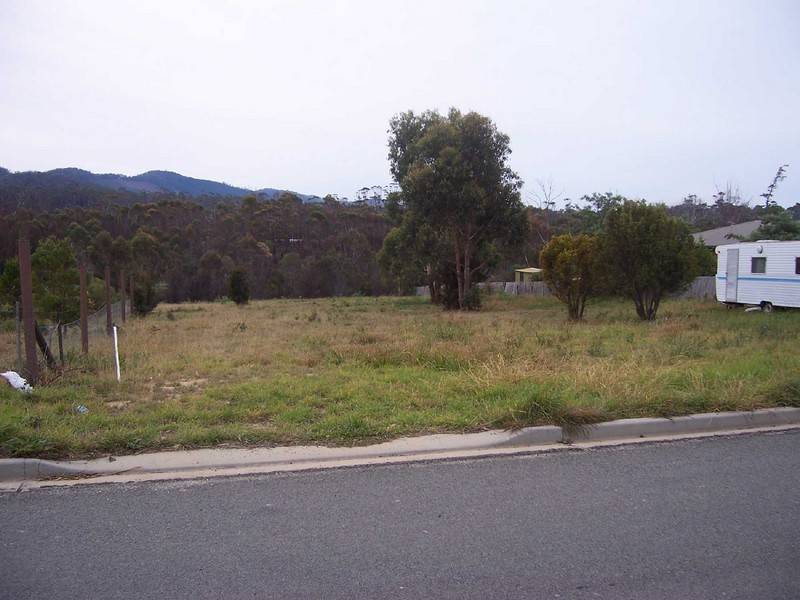 8 Cherrywood Drive, Scamander TAS 7215