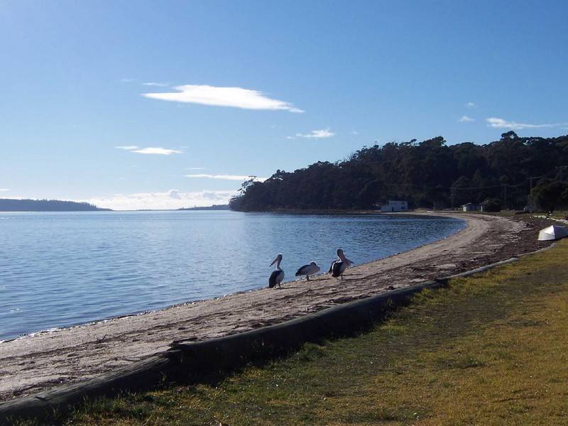 104 Parnella Drive, Stieglitz TAS 7216