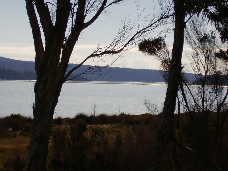 264 St Helens Point Road, Stieglitz TAS 7216