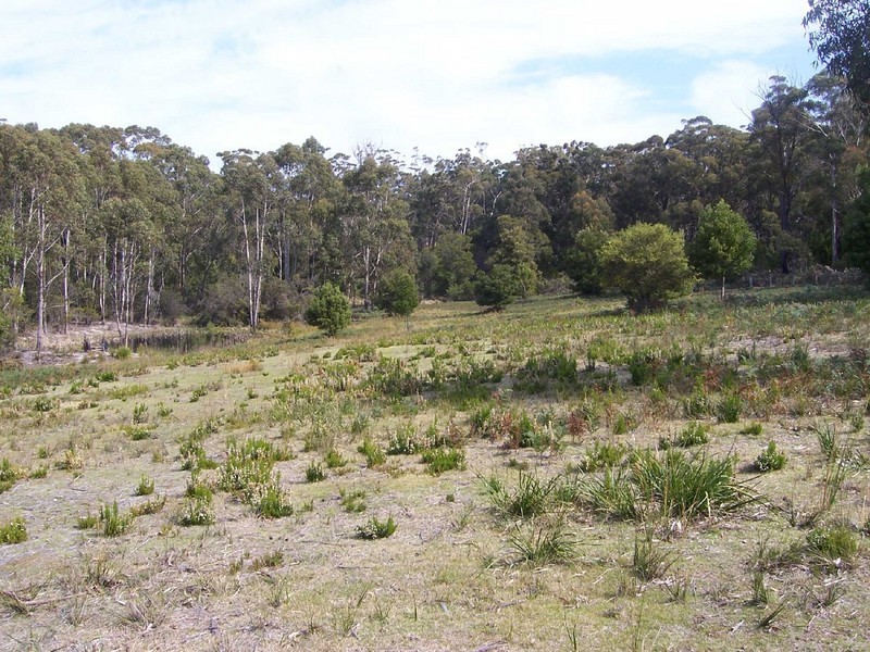Lot 5 Lanark Farm, Dianas Basin TAS 7215