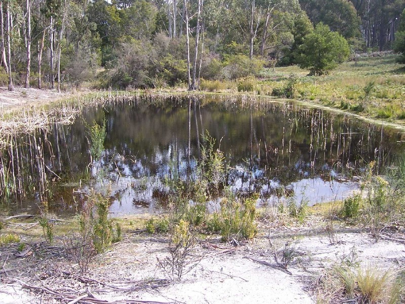 Lot 5 Lanark Farm, Dianas Basin TAS 7215