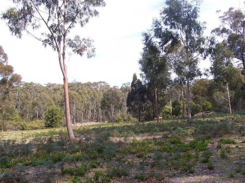 Lot 5 Lanark Farm, Dianas Basin TAS 7215