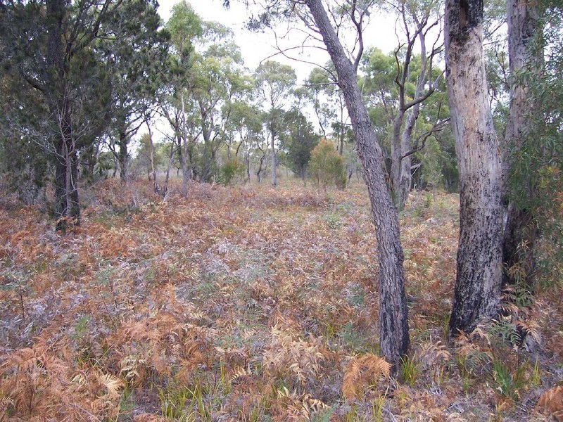 Lot 2 Gardens Road, Binalong Bay TAS 7216