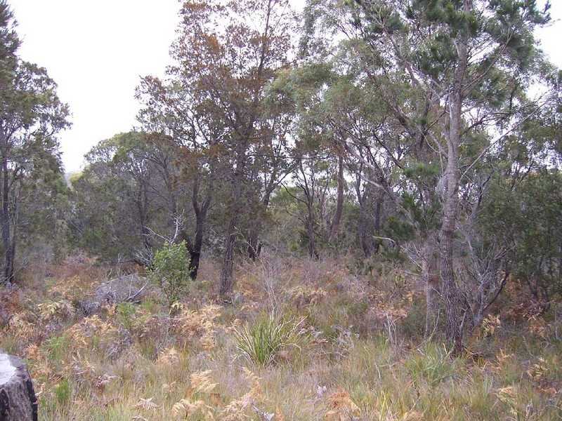 Lot 2 Gardens Road, Binalong Bay TAS 7216