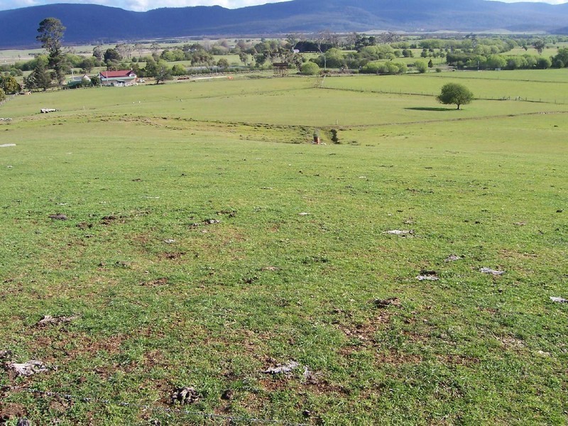 . Gardiners Creek Road, St Marys TAS 7215