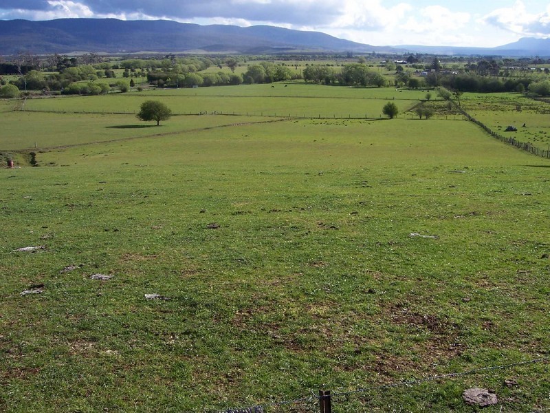 . Gardiners Creek Road, St Marys TAS 7215