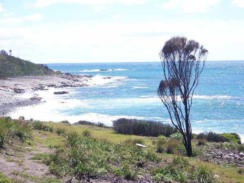 Lot1/21424 Tasman Highway, Chain Of Lagoons TAS 7215