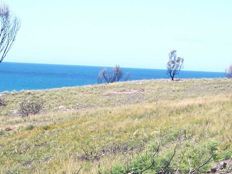 Lot1/21424 Tasman Highway, Chain Of Lagoons TAS 7215