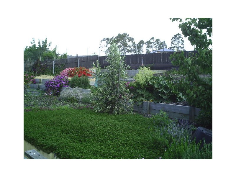 3 Douglas Court, St Helens TAS 7216