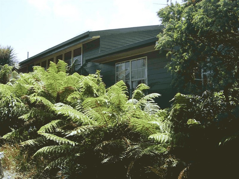 20 Osprey Drive, St Helens TAS 7216