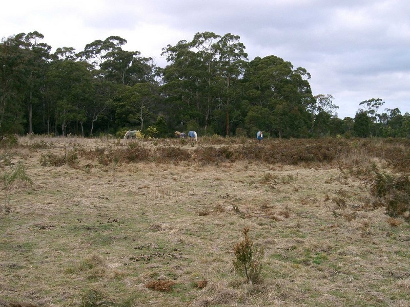 Lot 1 Canhams Road, St Helens TAS 7216